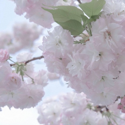 烈山福瑞交流群